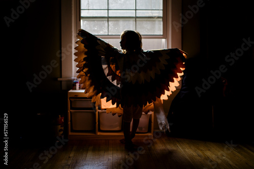 A small girl stands silhouetted in a window wearing outstretched wings photo