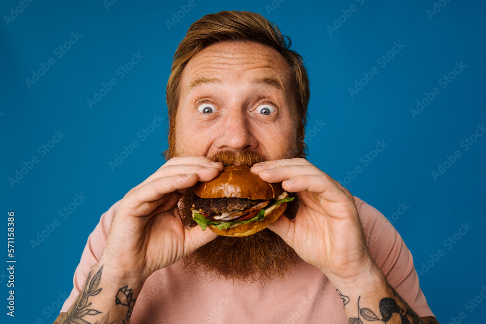 Bearded man eating burger while standing isolated over blue background Bearded man eating burger while standing isolated over blue background
