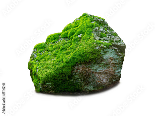 stone covered with moss isolated on white background