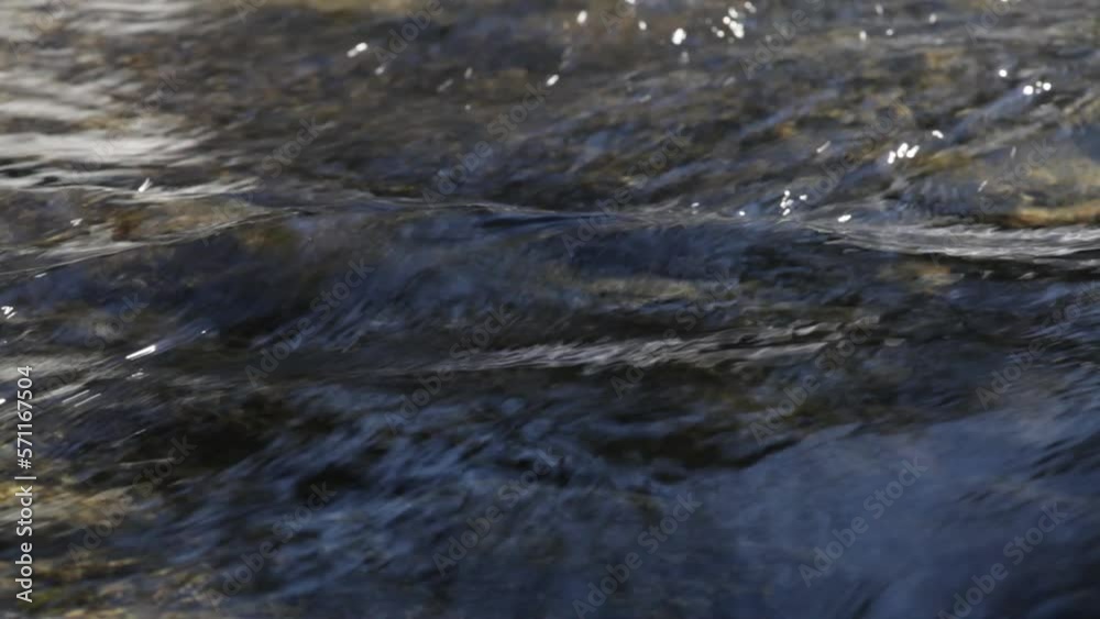 High angle lockdown shot of river flowing in forest High angle lockdown shot of river flowing in forest