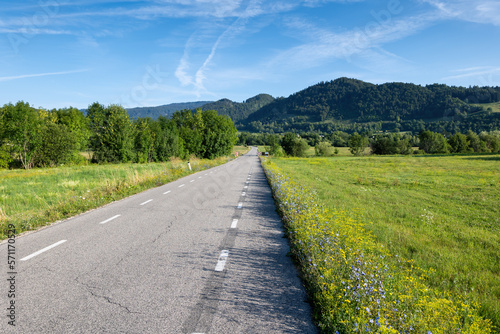 Countryside Road In Northern Slovenia