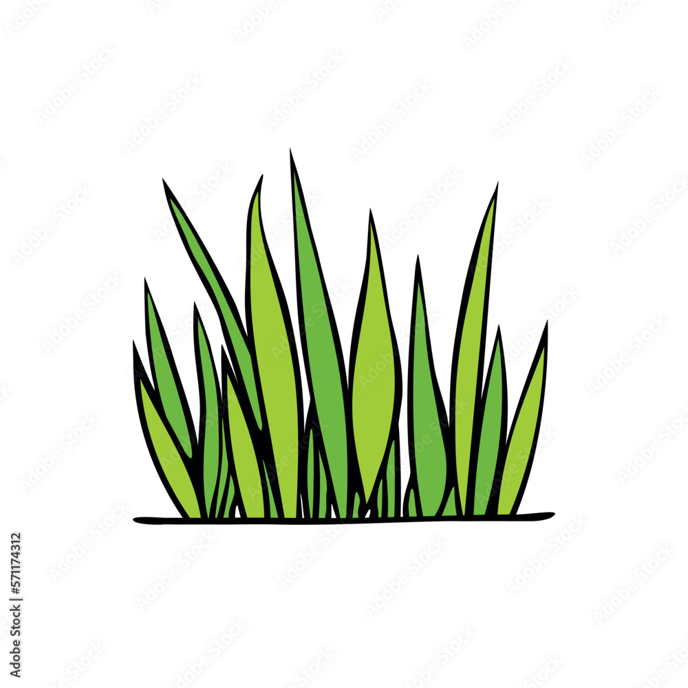 A bunch of green grass. Hand drawn color vector illustration, clip art in doodle flat style, isolated. Nature theme A bunch of green grass. Hand drawn color vector illustration, clip art in doodle flat style, isolated. Nature theme