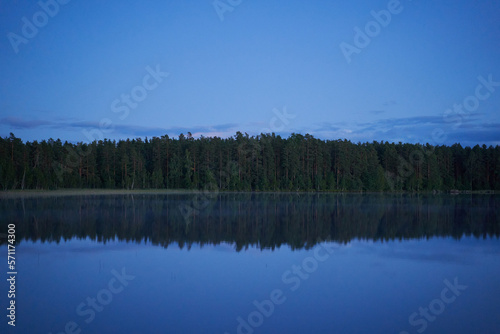 Minimalistic mirror landscape with a forest reflection in the water.