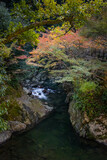 Beautiful river in Minoh park or Minoo Park, Osaka, Japan with trees in autumn.