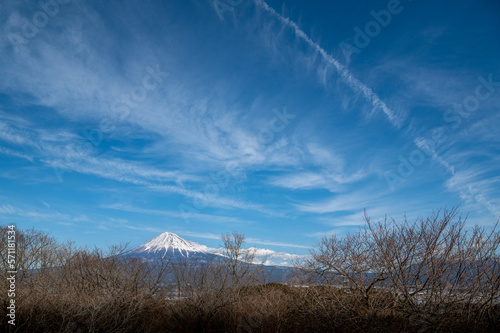 静岡県富士市　岩本山公園の咲き始めの梅と富士山