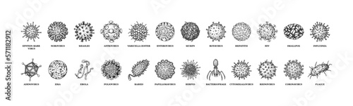 Viruses with names isolated on white background. Different types of microscopic microorganisms. Vector illustration in sketch style photo
