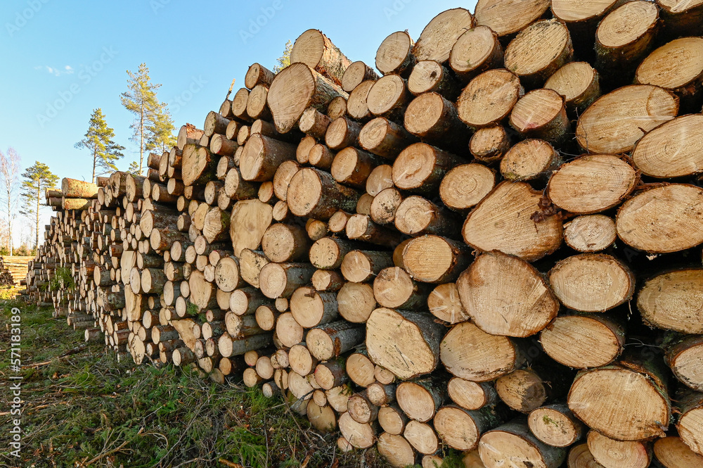 cutting area with stacked timber in Sweden