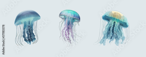 Three jellyfish. Ocean jellyfish. Design set. Deep ocean creature, Vector illustration jellyfish isolatedon blue background.