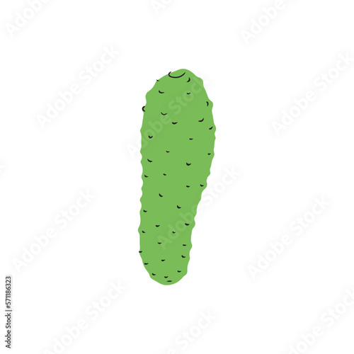 Green fresh cucumber vegetable with black line isolated on white background. Hand drawn vector doodle simple illustration in children abstract style. Diet, health, moisture, face, mask, ingredient
