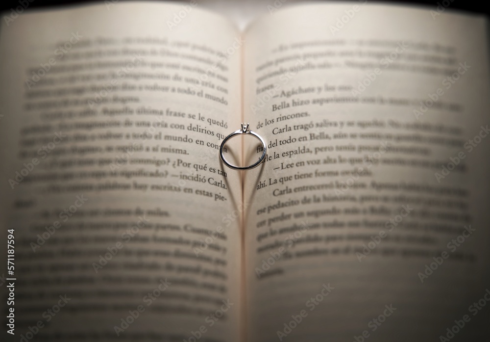 Fototapeta premium book with a cross