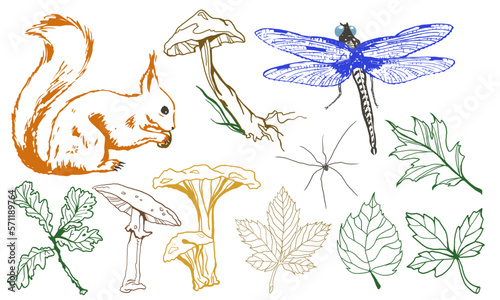 Autumn forest set of hand drawn vector icons