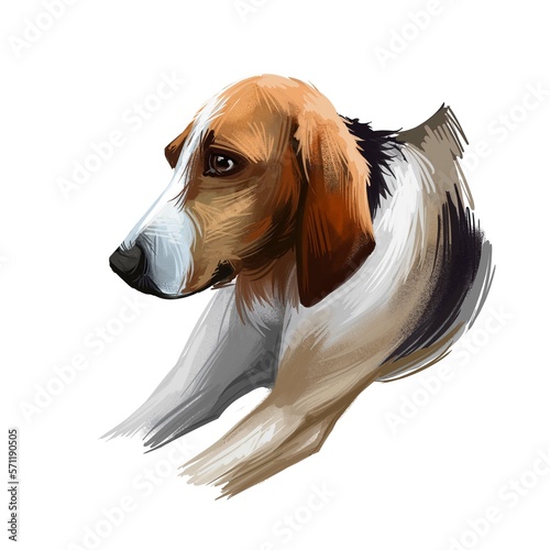 Poitevin dog portrait isolated on white. Digital art illustration of hand drawn for web, t-shirt print and puppy cover design, clipart. Chien de Haut-Poitou, breed of dog used in hunting scenthound.