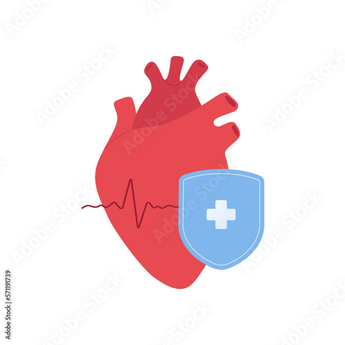 Heart attack prevention healthcare collection.Vector flat illustration. Red anatomilcal heart with blue shield symbol on white background. Design element for cardiology, health care