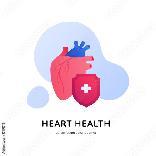Heart attack prevention healthcare collection. Vector flat illustration. Color pink anatomilcal heart with red shield symbol on splash on white background. Design element for cardiology, health care