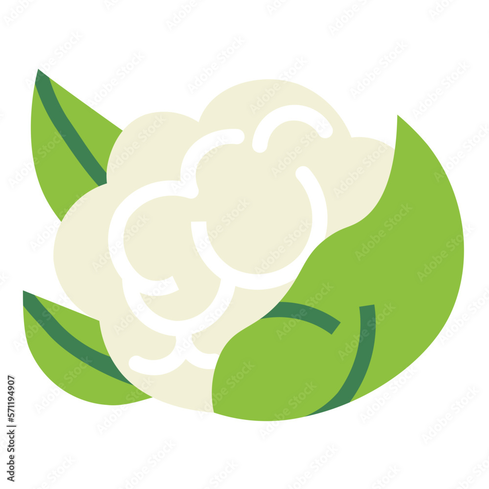 cauliflower flat icon style