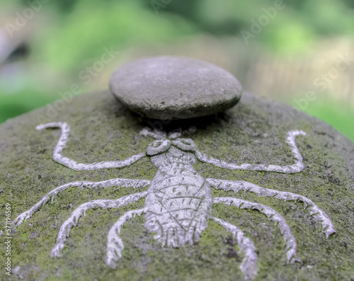 Photography Drawing of a fly on a stone.