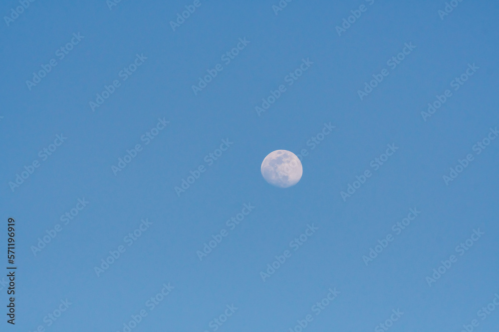 Luna en el municipio del Puerto de la Cruz, isla de Tenerife. Luna en el municipio del Puerto de la Cruz, isla de Tenerife.