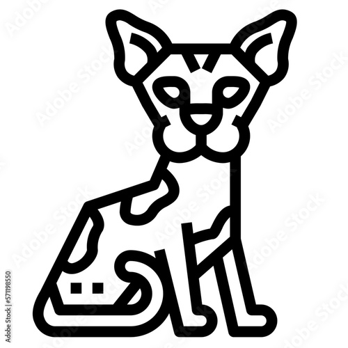 Sphynx Cat line icon style