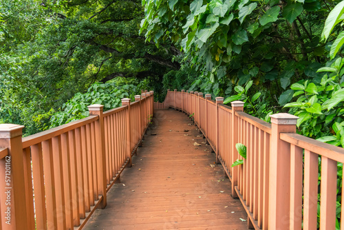 Wooden bridge and park background