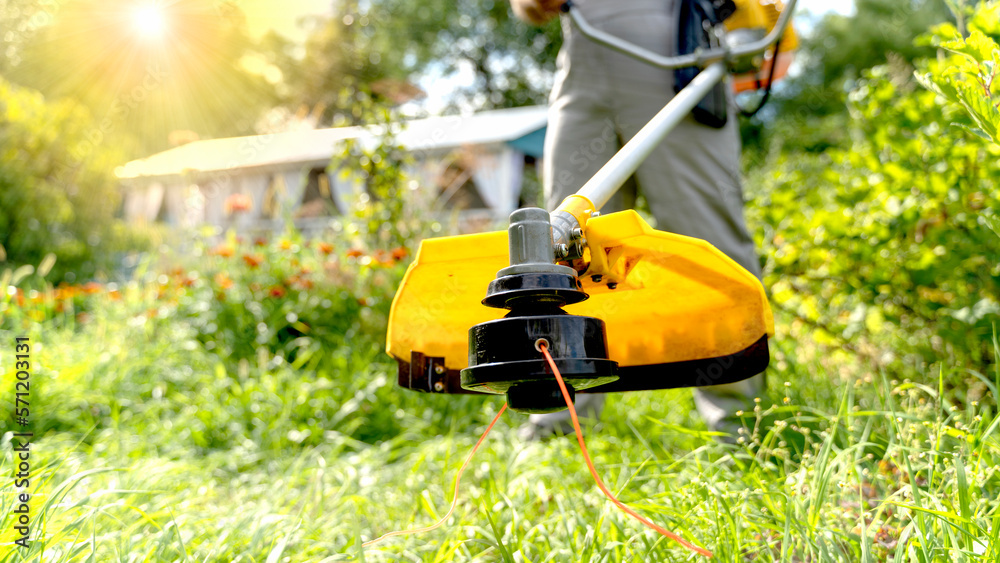 LAWN MOWER MOWS LAWN TRIMMER LAWN MOWER MOWS LAWN TRIMMER