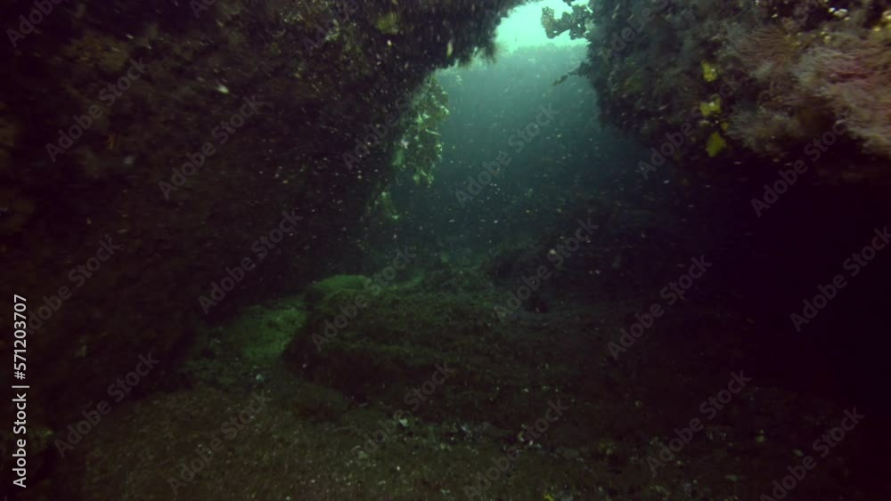 going through a cavern while scuba diving in the cold Atlantic ocean going through a cavern while scuba diving in the cold Atlantic ocean