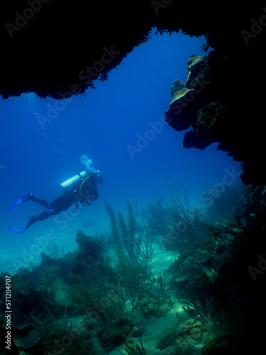 a diver in a coral reef in the caribbean sea