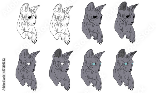 Sphynx cat vector variations