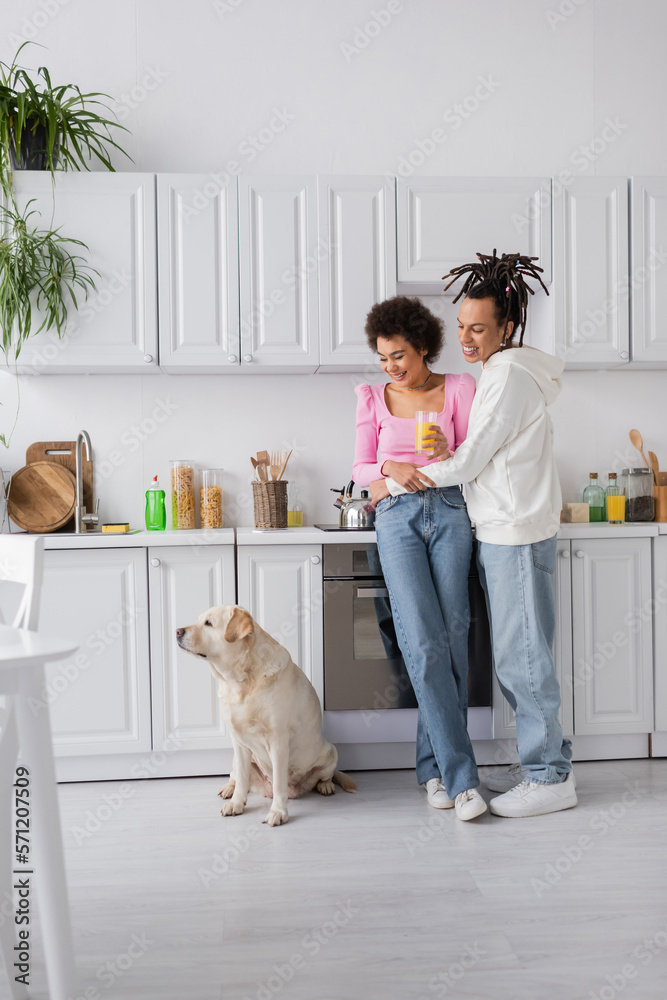 Smiling african american couple with orange juice looking at labrador in kitchen.