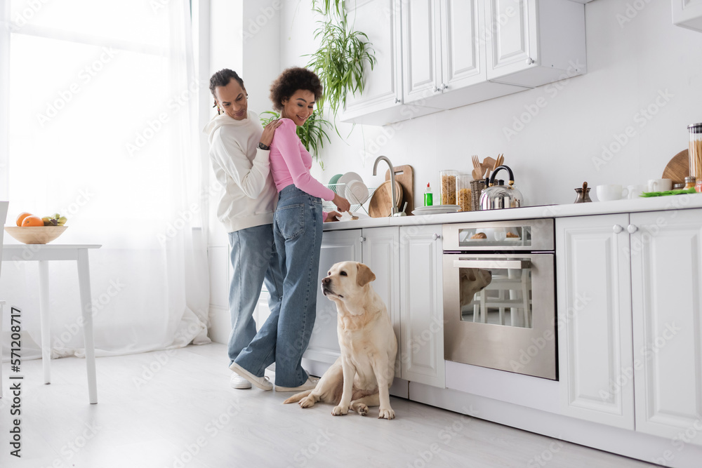 Positive african american couple washing plates and looking at labrador dog in kitchen. - obrazy, fototapety, plakaty 