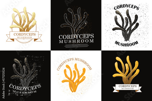Cordyceps mushroom. Literally worth its weight in gold. Used in healthcare