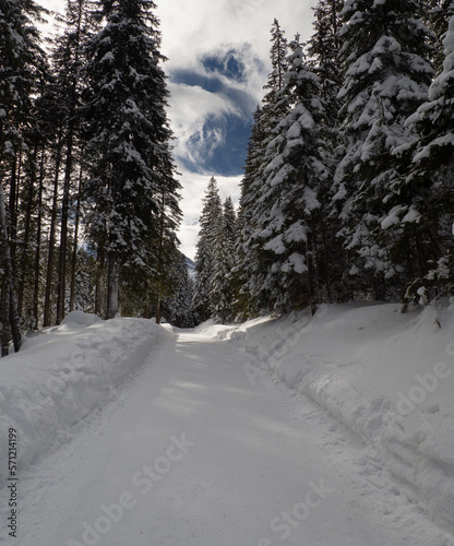 snow road