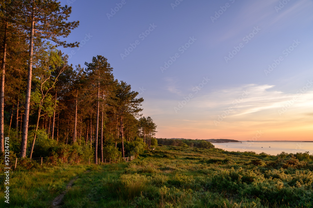 Fototapeta premium Boulder forest, Yarmouth