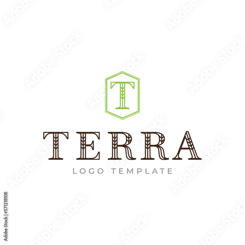Wordmark TERRA in the line style. Logotype with wheat, rice organic grain products, and healthy food vector illustration.