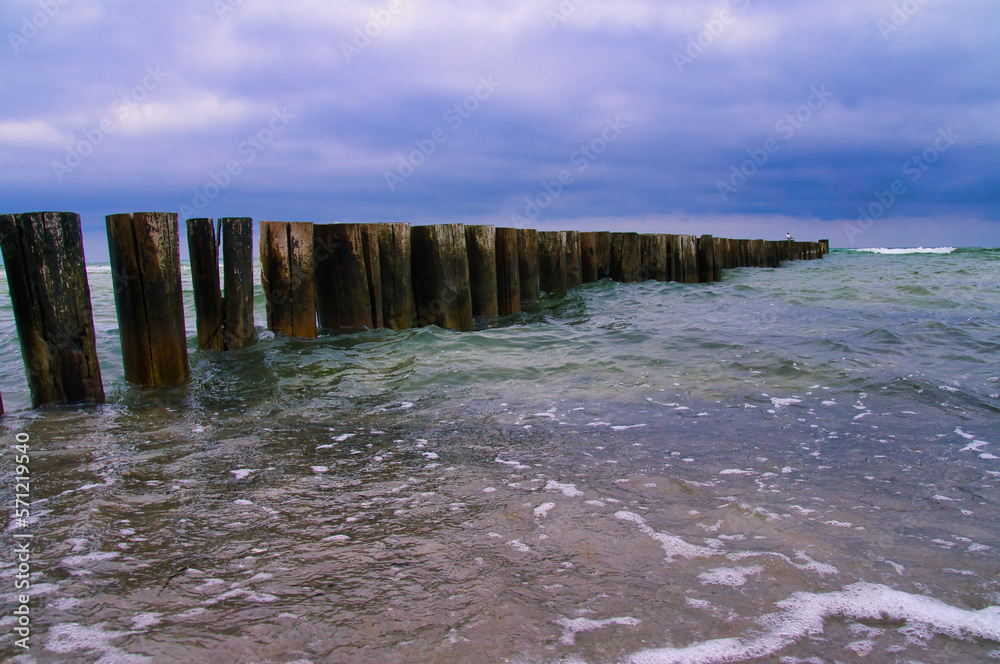 on the beach of the baltic sea in zingst. view of the sea with groyne. Landscape