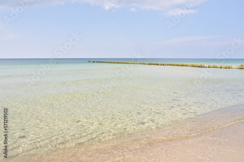 west beach on baltic sea beach. detailed and textured still life. beautiful spot