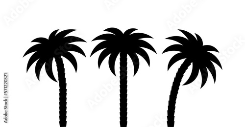 Palm trees silhouettes isolated on white background. Vector illustration.