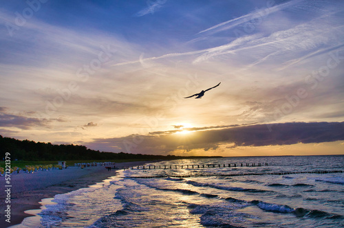 View over the beach to the Baltic Sea at sunset with seagulls in the sky.