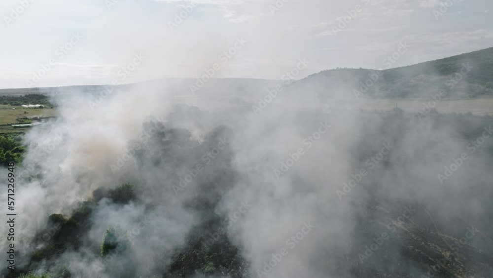 Fires in an agricultural field with smoke in summer. Thick smoke rises. Disaster in forest part aerial view drone. Texture bright flames of forest fire. Ecology. Environmental Protection. Burnt land. Fires in an agricultural field with smoke in summer. Thick smoke rises. Disaster in forest part aerial view drone. Texture bright flames of forest fire. Ecology. Environmental Protection. Burnt land.