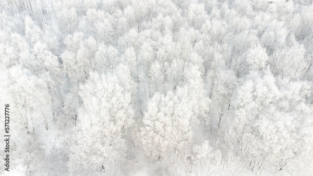 beautiful winter background - aerial view of snowy winter forest beautiful winter background - aerial view of snowy winter forest
