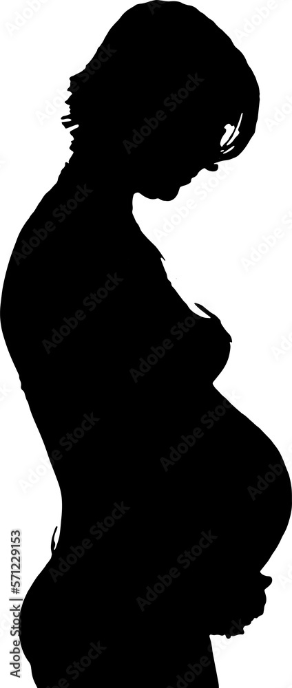 silhouette of a pregnant woman. Shape of a pregnant woman