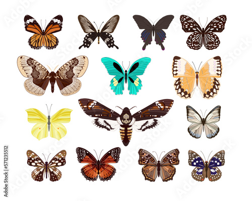 Collection of realistic, detailed colored butterflies. Vector illustration.