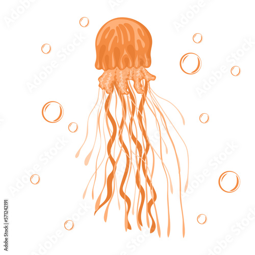Jellyfish. Marine dweller. Concept of sea and ocean life. Vector illustration