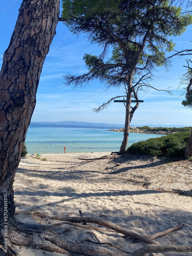 Obraz premium plaża