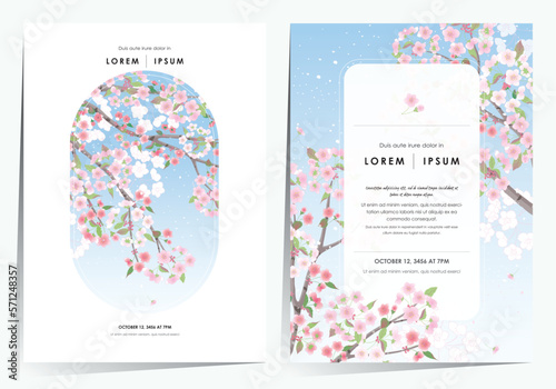Vector editorial design frame set of Korean spring scenery with cherry trees in full bloom. Design for social media, party invitation, Frame Clip Art and Business Advertisement 