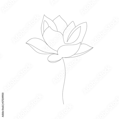 Lotus flower hand drawn in one line
