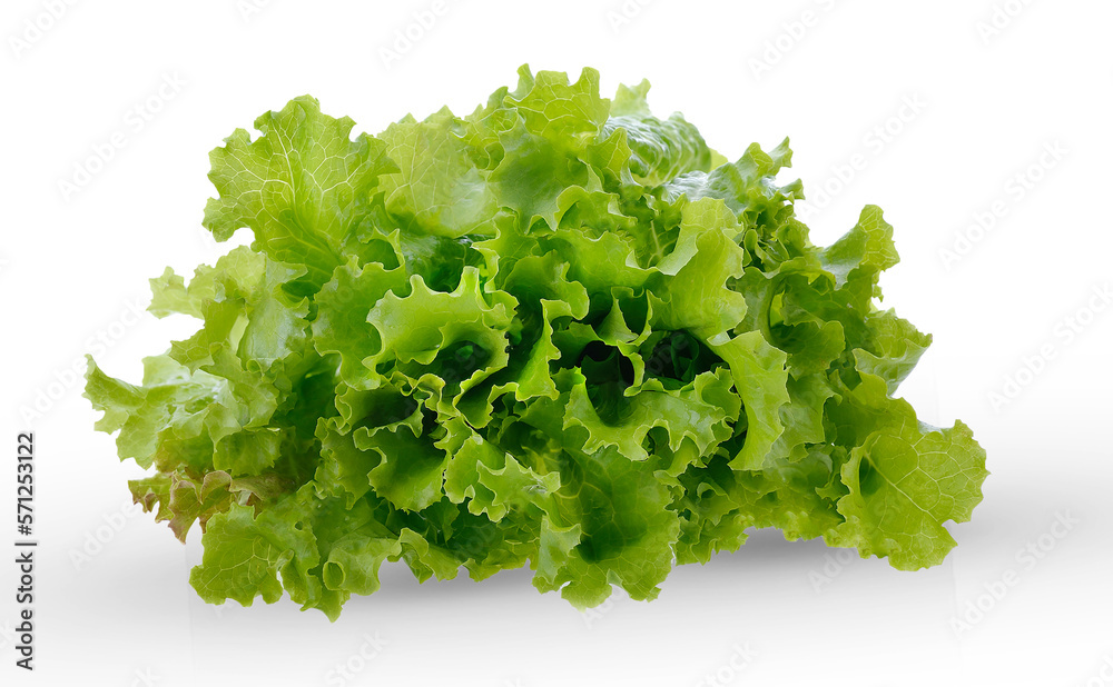 Salad leaf. Lettuce isolated on transparent .lettuce high fiber for healty. Salad leaf. Lettuce isolated on transparent .lettuce high fiber for healty.