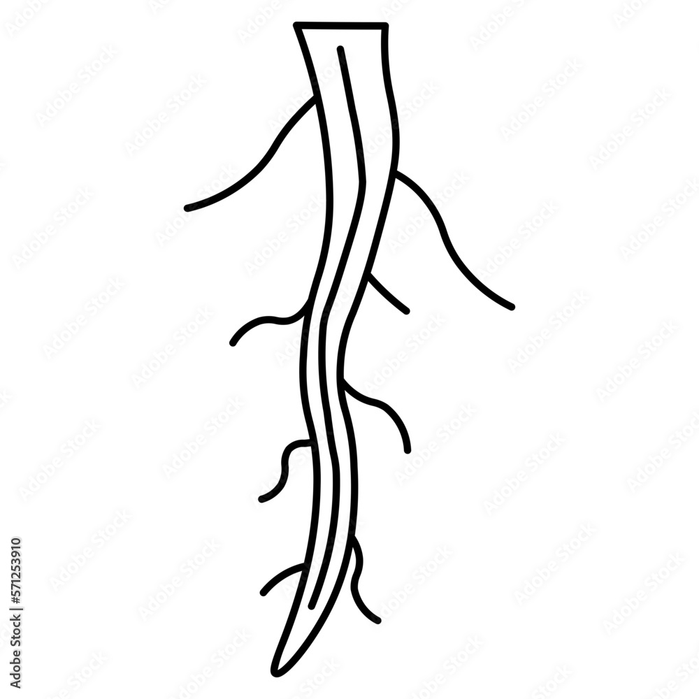 Fototapeta premium tree