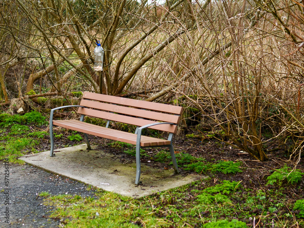 Brown plastic bench with metal frame in a park and a home made DIY bird feeder. Scene in a park. Nobody. Brown plastic bench with metal frame in a park and a home made DIY bird feeder. Scene in a park. Nobody.