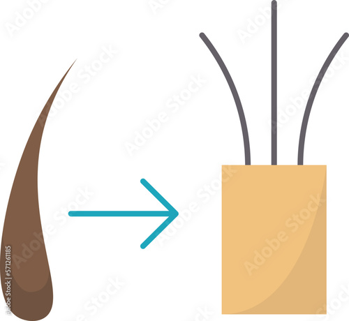 hair  icon
