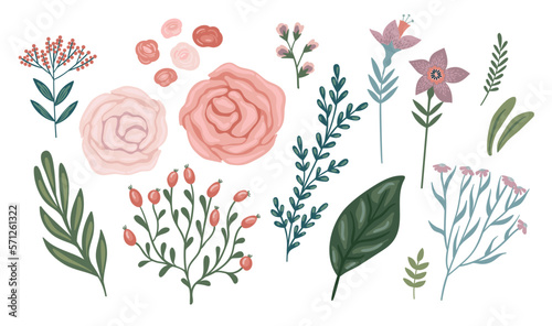 Set of floral design elements. Leaves, flowers, grass, branches Vector